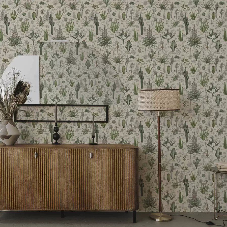 murais de parede Cactos e suculentas num fundo quente, impressão detalhada a00666