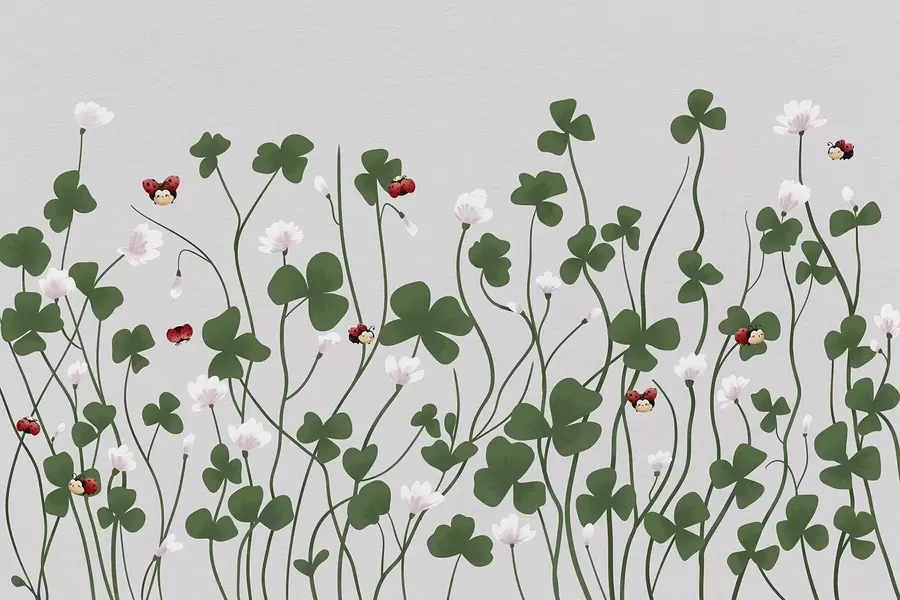 murais de parede Trevo-dos-prados pintado w04677