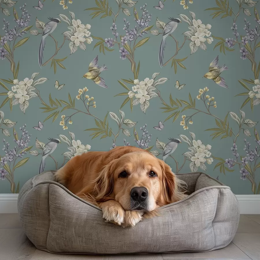 murais de parede Pássaros, flores e borboletas sobre um fundo azul-acinzentado a00735