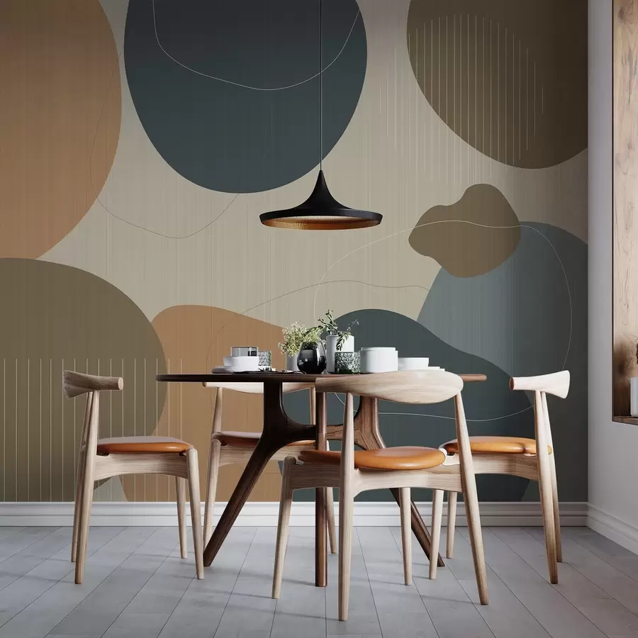 murais de parede Círculos abstractos w04759v1