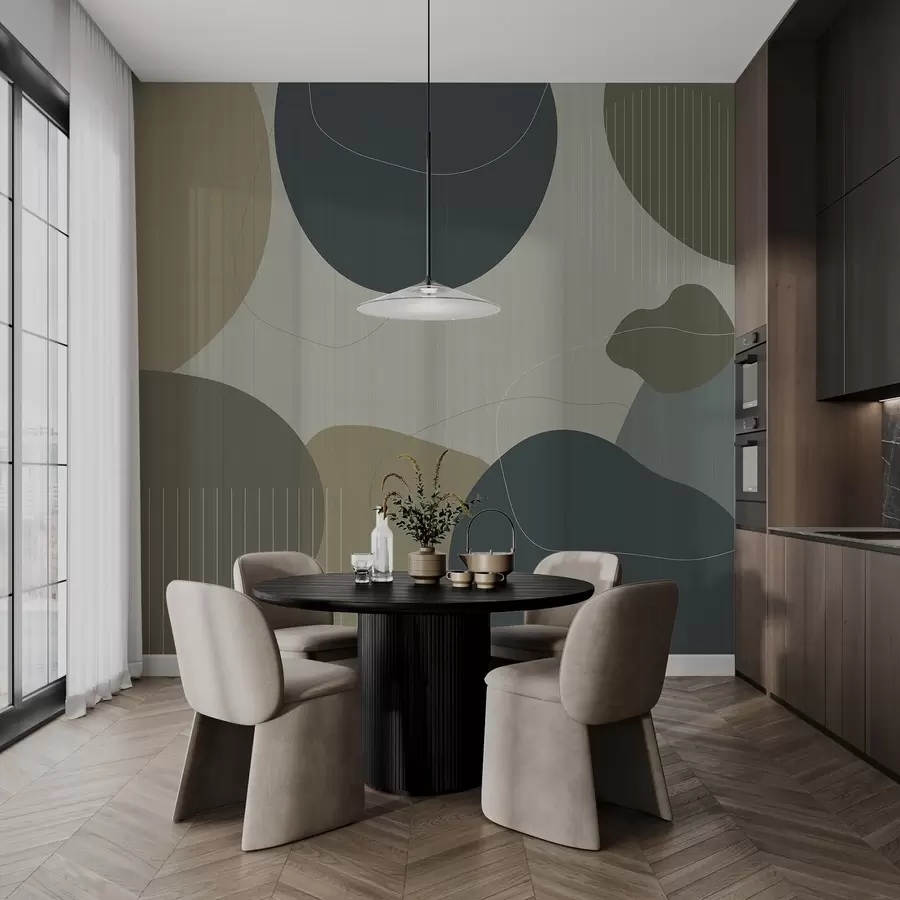 murais de parede Círculos abstractos w04759v2