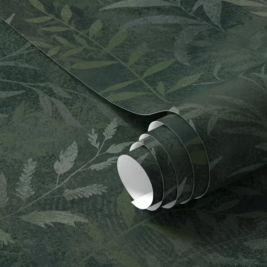 murais de parede Fundo verde escuro com ramos de folhas translúcidos a00888