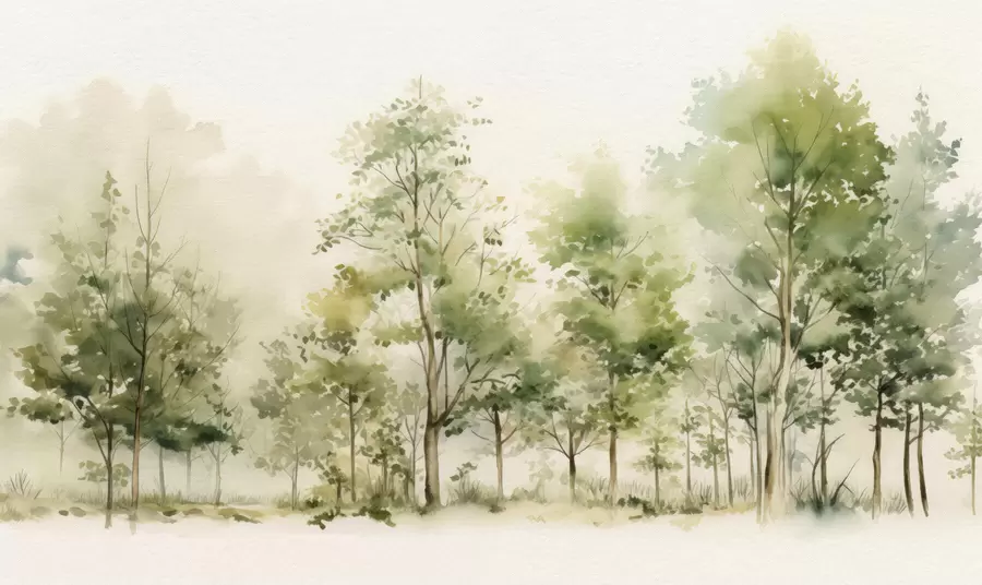 murais de parede Floresta decídua em aquarela w05180