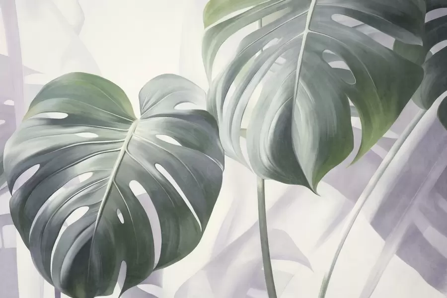 murais de parede Folhas texturizadas de monstera grandes e verdes, contra um fundo abstrato suave e claro w09477