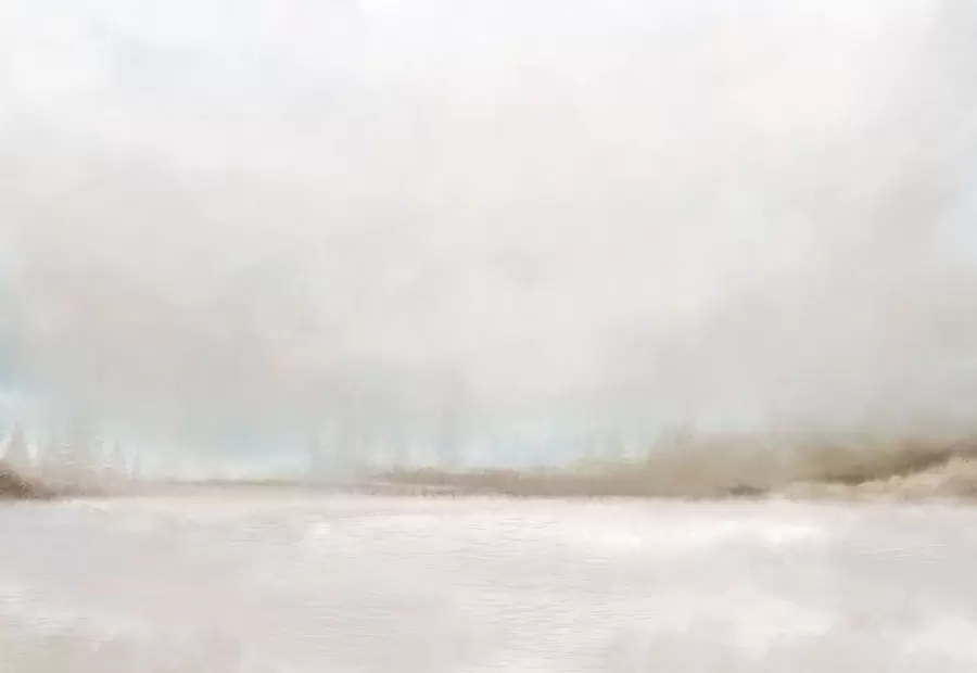 murais de parede Paisagem enevoada com lago e floresta w05319