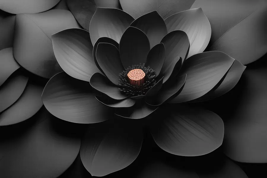murais de parede Flor preta minimalista com pétalas e um centro quente em contraste w09721