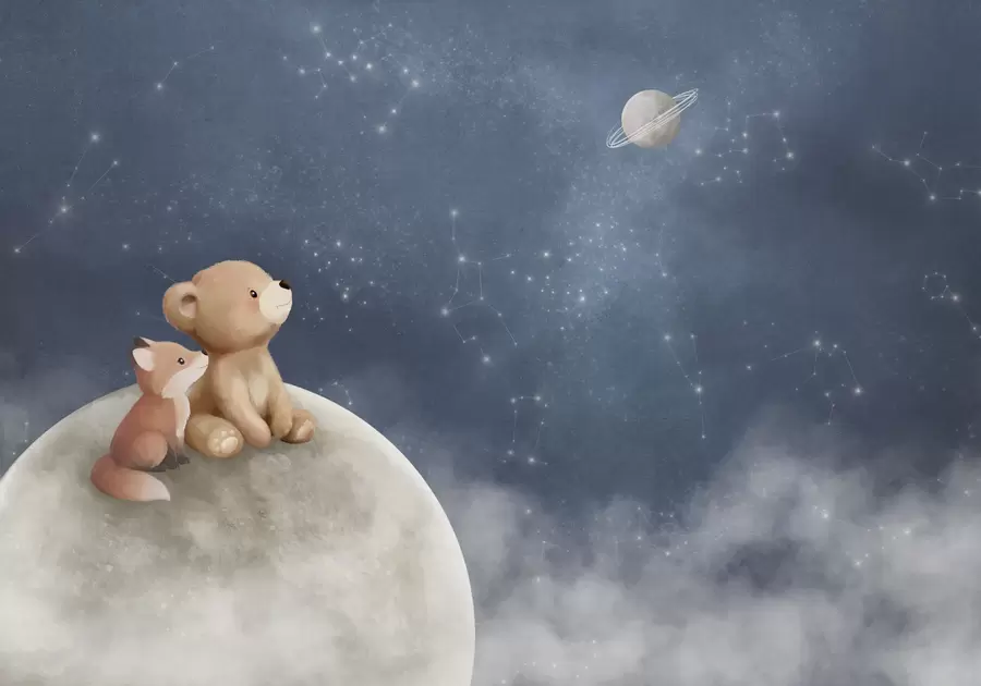 murais de parede Ilustração em tons pastel de um urso e uma raposa sob o céu noturno w05431