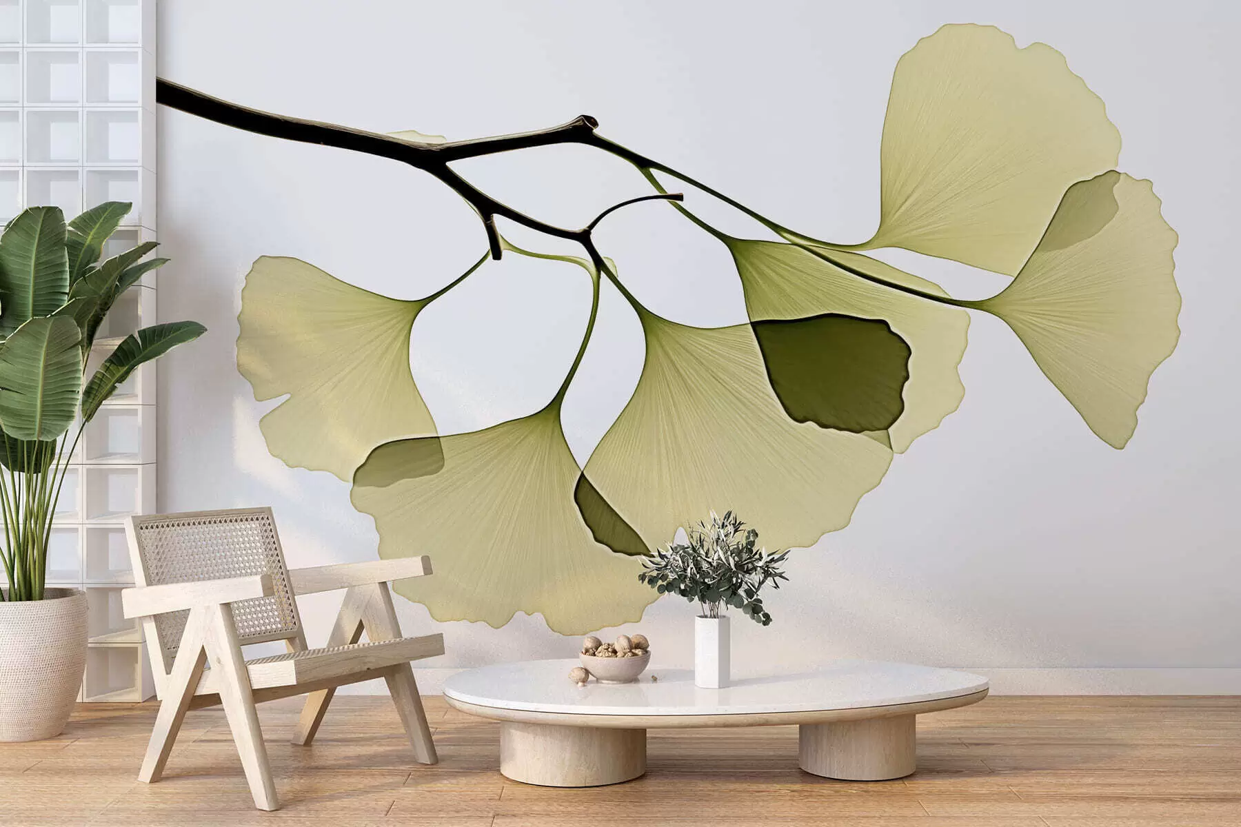 murais de parede Folhas em forma de leque do ginkgo w09968