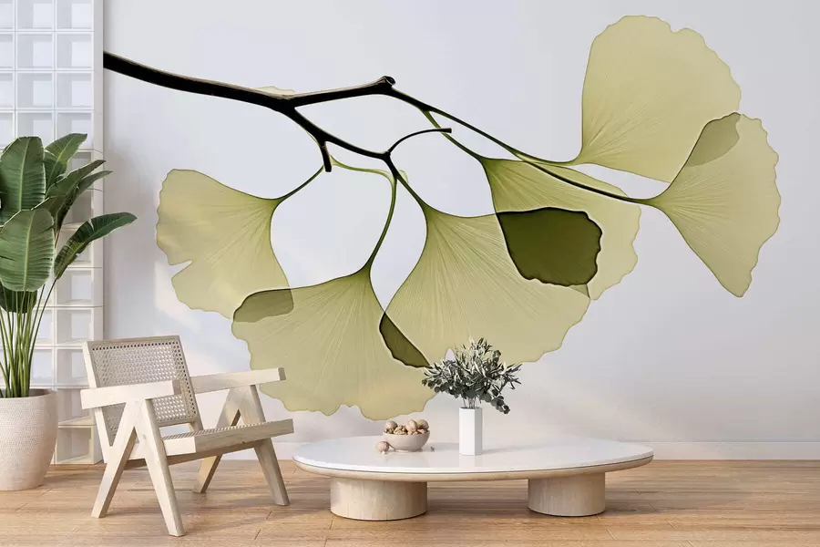 murais de parede Folhas em forma de leque do ginkgo w09968