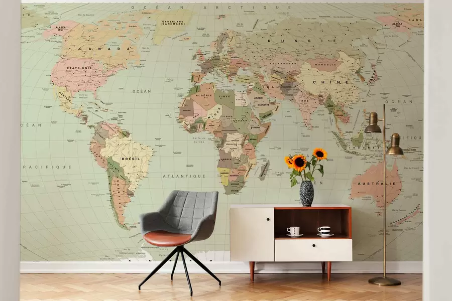 murais de parede Mapa político do mundo em tons de verde-oliva com bandeiras, em francês c00016frv3