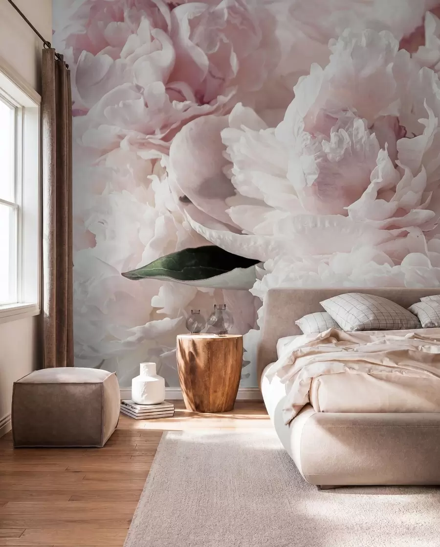 murais de parede Peônias rosa pálido u59600