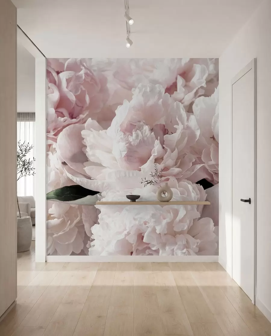 murais de parede Peônias rosa pálido u59600