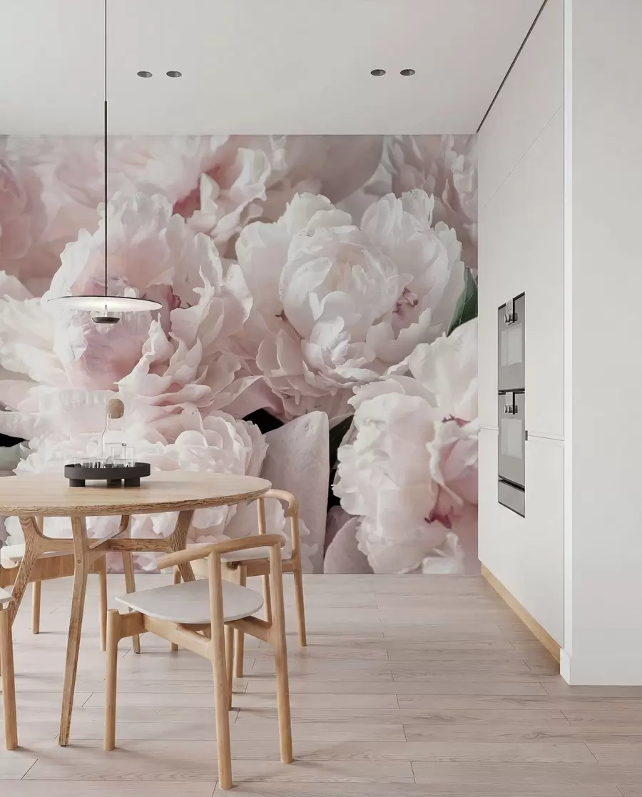 murais de parede Peônias rosa pálido u59600