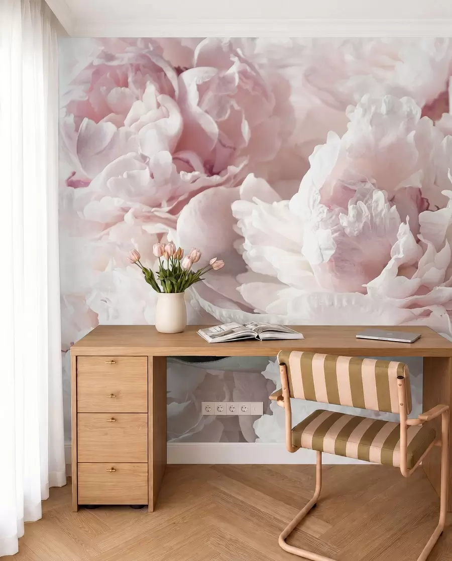 murais de parede Peônias rosa pálido u59600