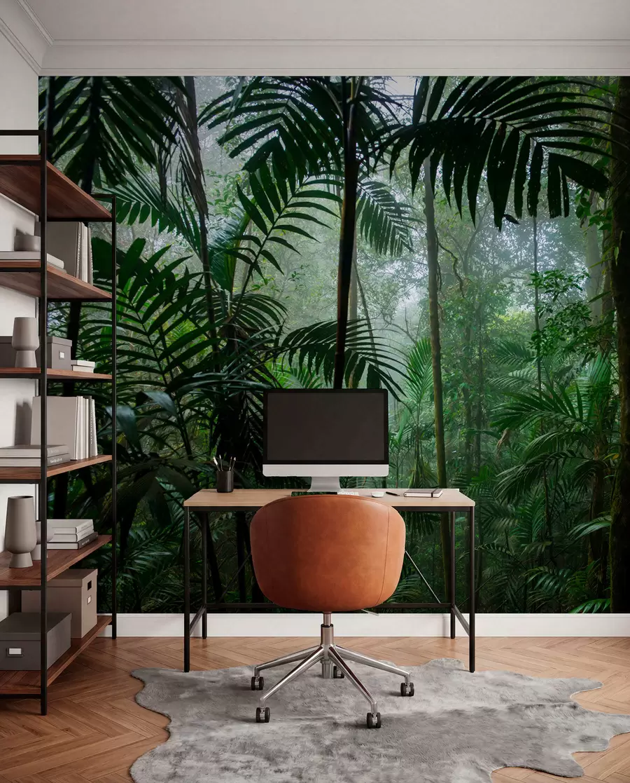 murais de parede Uma floresta tropical u72344