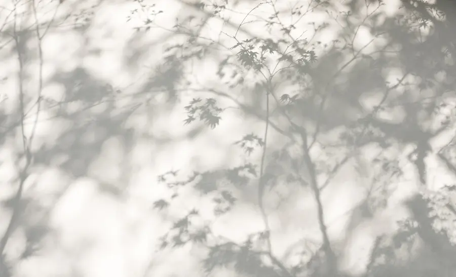 murais de parede Sombra na parede u79829