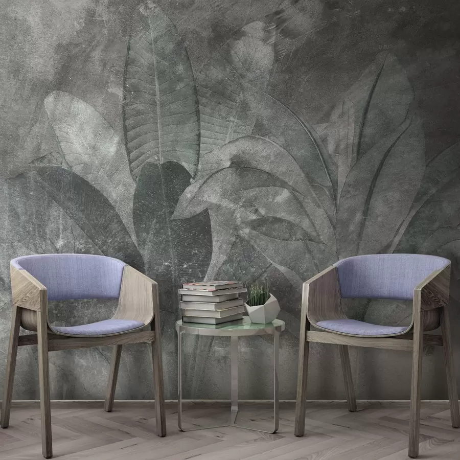 murais de parede Folhas de bananeira em um fundo de pedra u73884