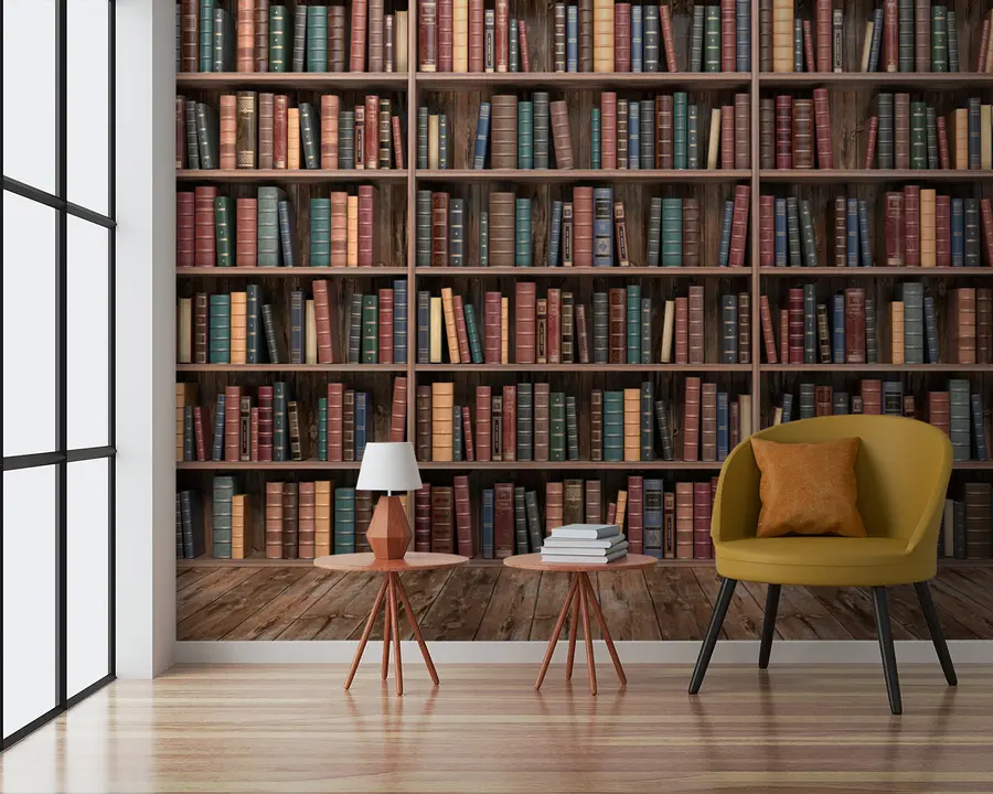 murais de parede Biblioteca impressionante u93501