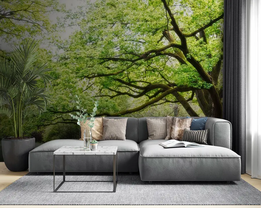murais de parede Planta, paisagem verde e natural u55659