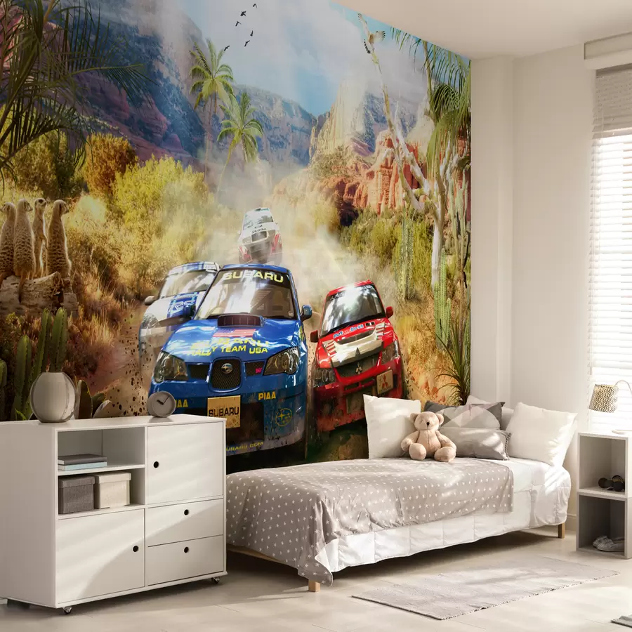 murais de parede rali no cânion u64438