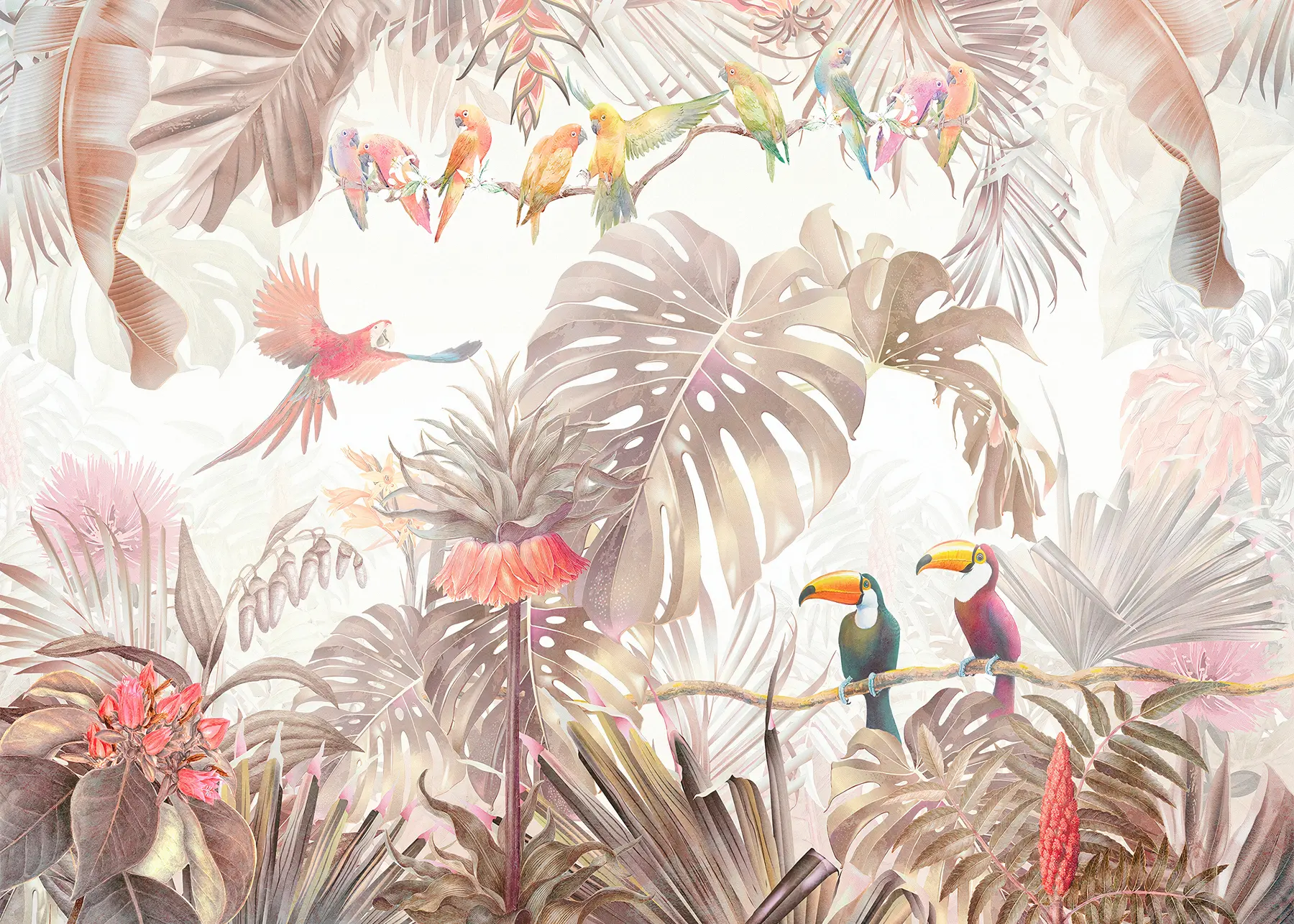 murais de parede Pássaros e papagaios brilhantes nos trópicos u74490