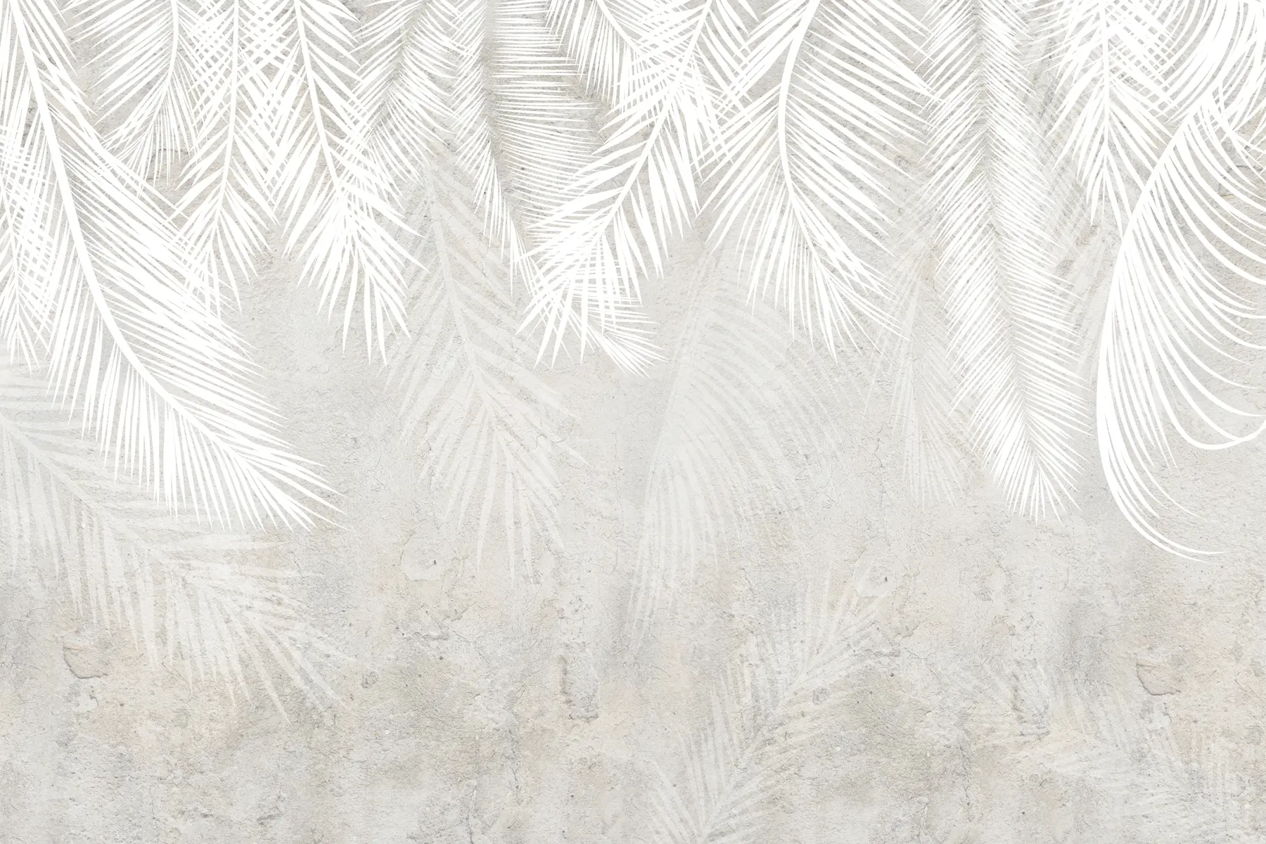 murais de parede Folhas de palmeira frágeis brancas com textura grunge u94286
