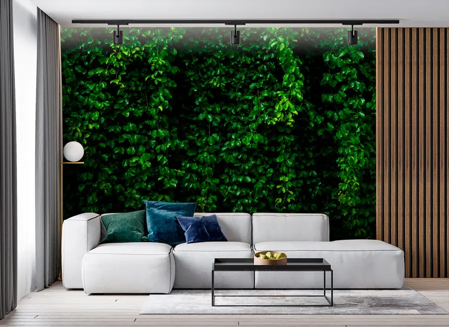 murais de parede folha tropical verde escuro u94381