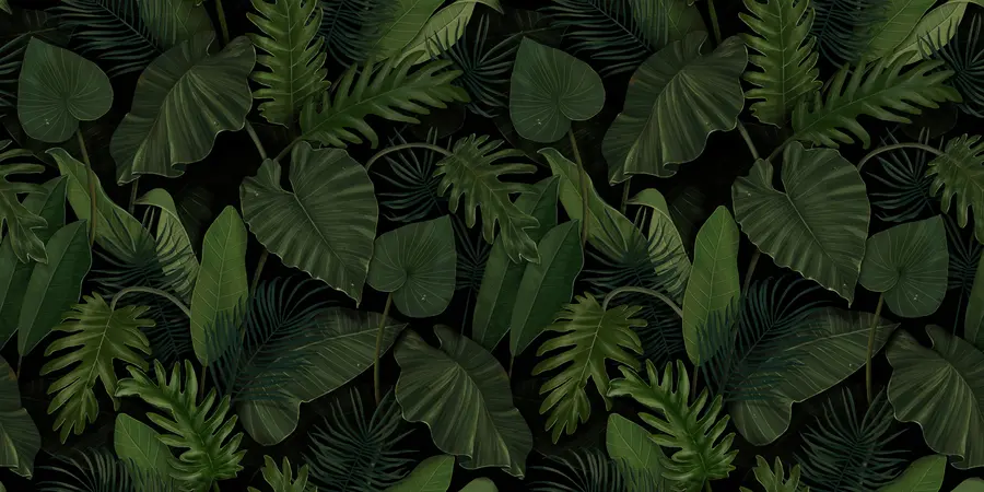 murais de parede Padrão com palma verde tropical, taro, folhas de bananeira u95470