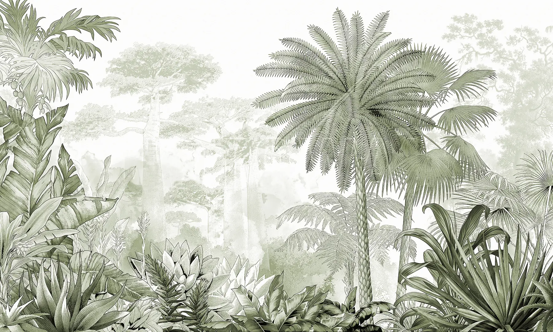 murais de parede Trópicos. Desenho a tinta com cores verdes u59041v1