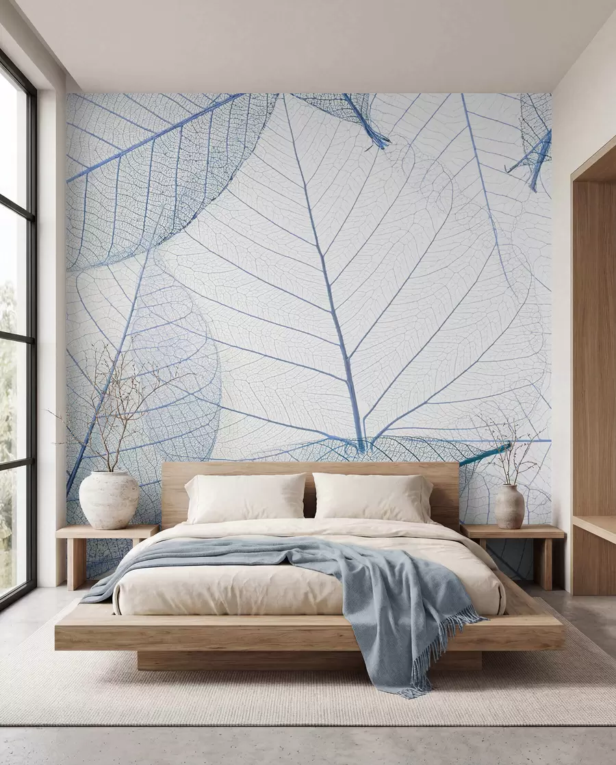 murais de parede Folhas transparentes de cor azul u24439v1