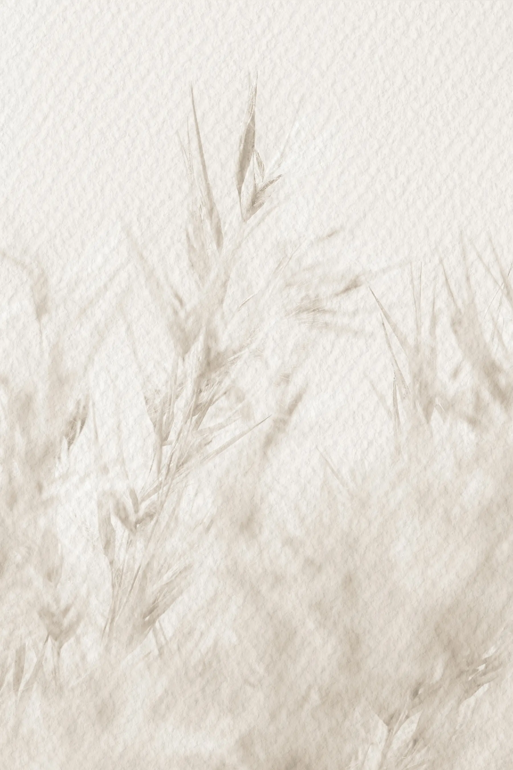 murais de parede Flores secas com textura de papel vintage u98438