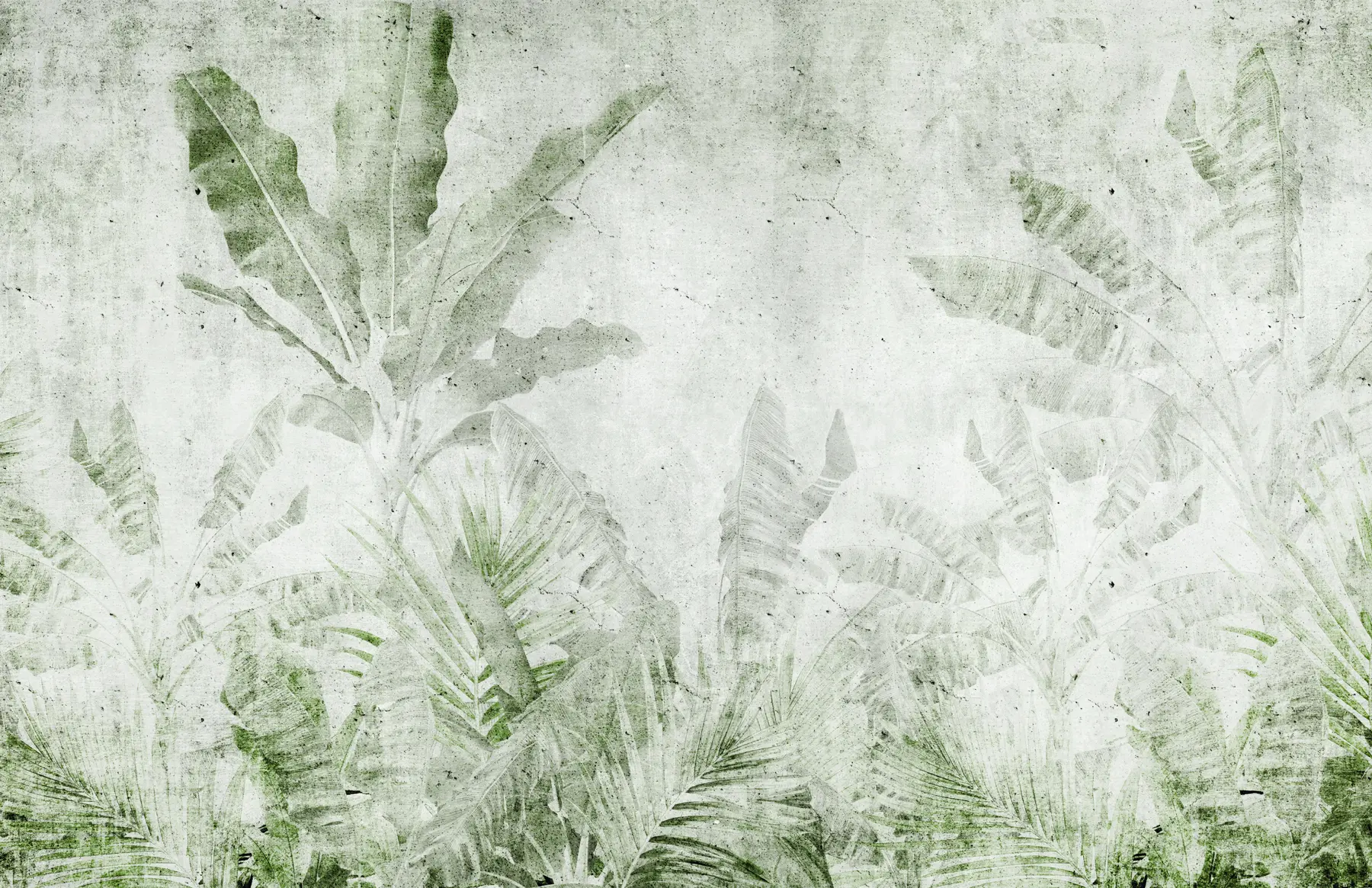 murais de parede Folhas de bananeira num muro de betão u73886v3