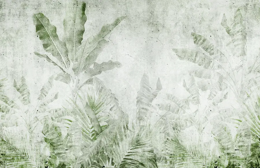 murais de parede Folhas de bananeira num muro de betão u73886v3