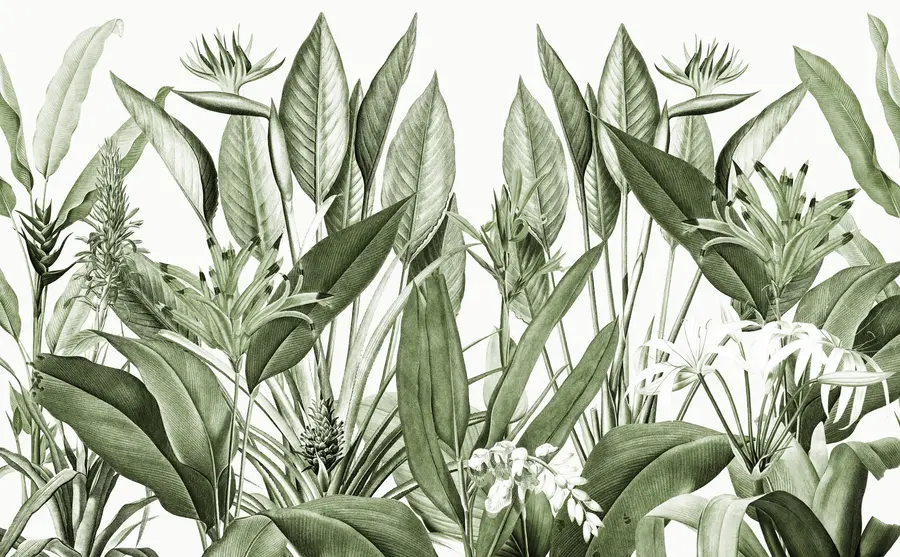 murais de parede Plantas tropicais cor verde selva u96833v2