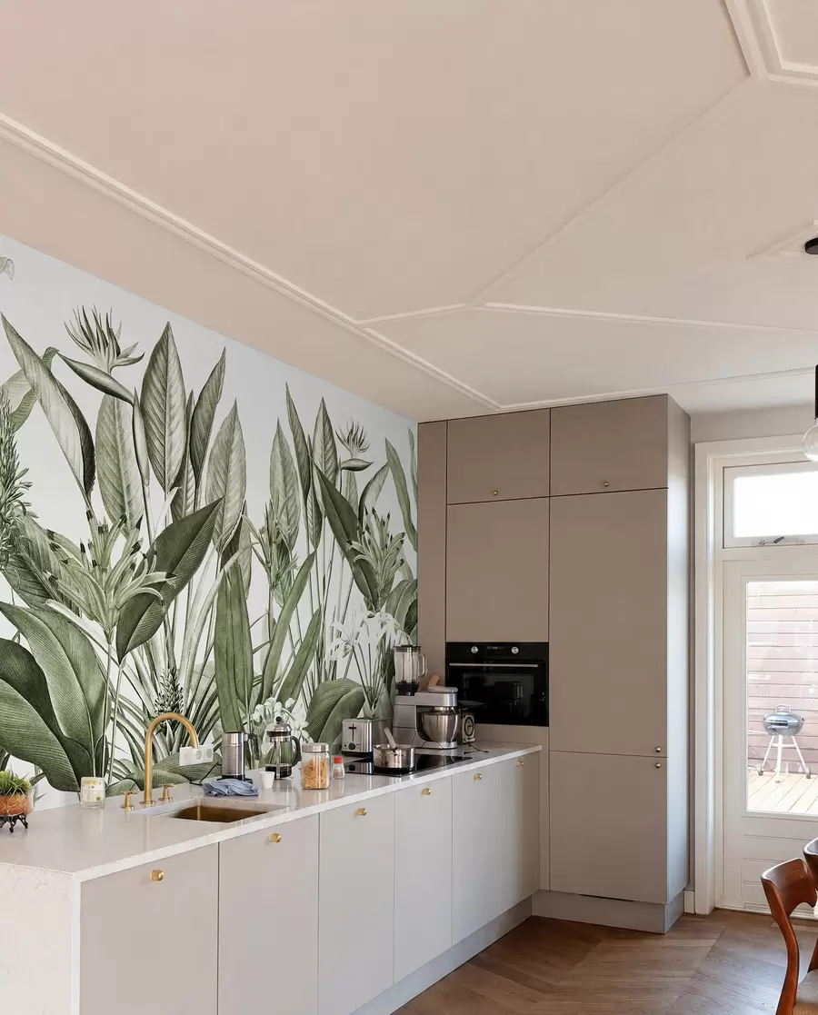 murais de parede Plantas tropicais cor verde selva u96833v2
